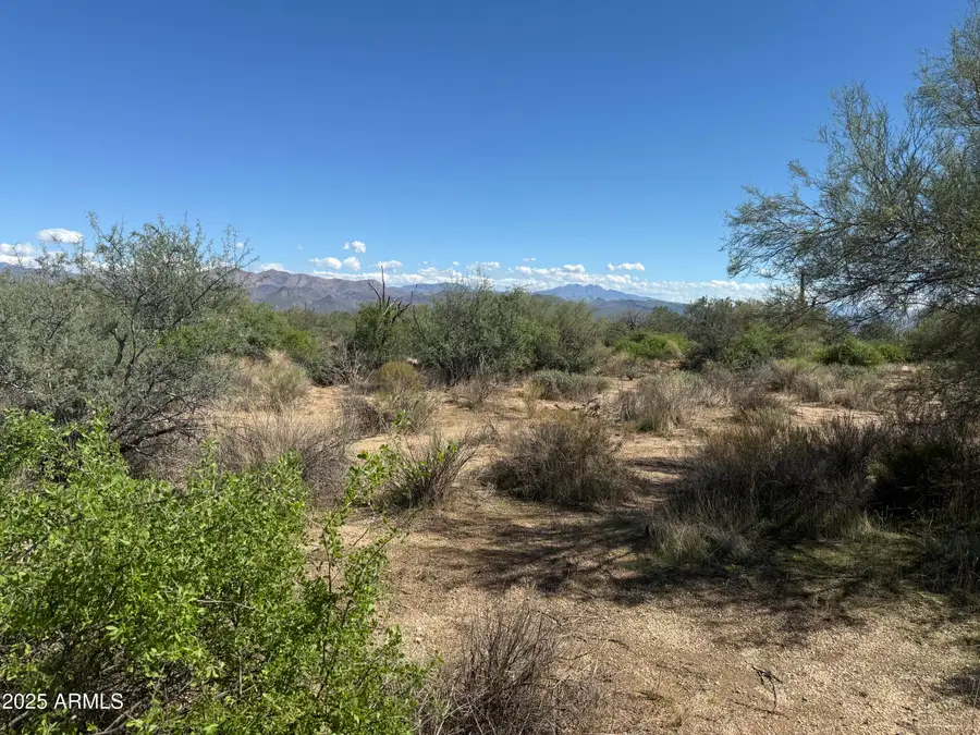 308xx N 164th Street, Tonto National Forest, AZ 85262 - Image #3