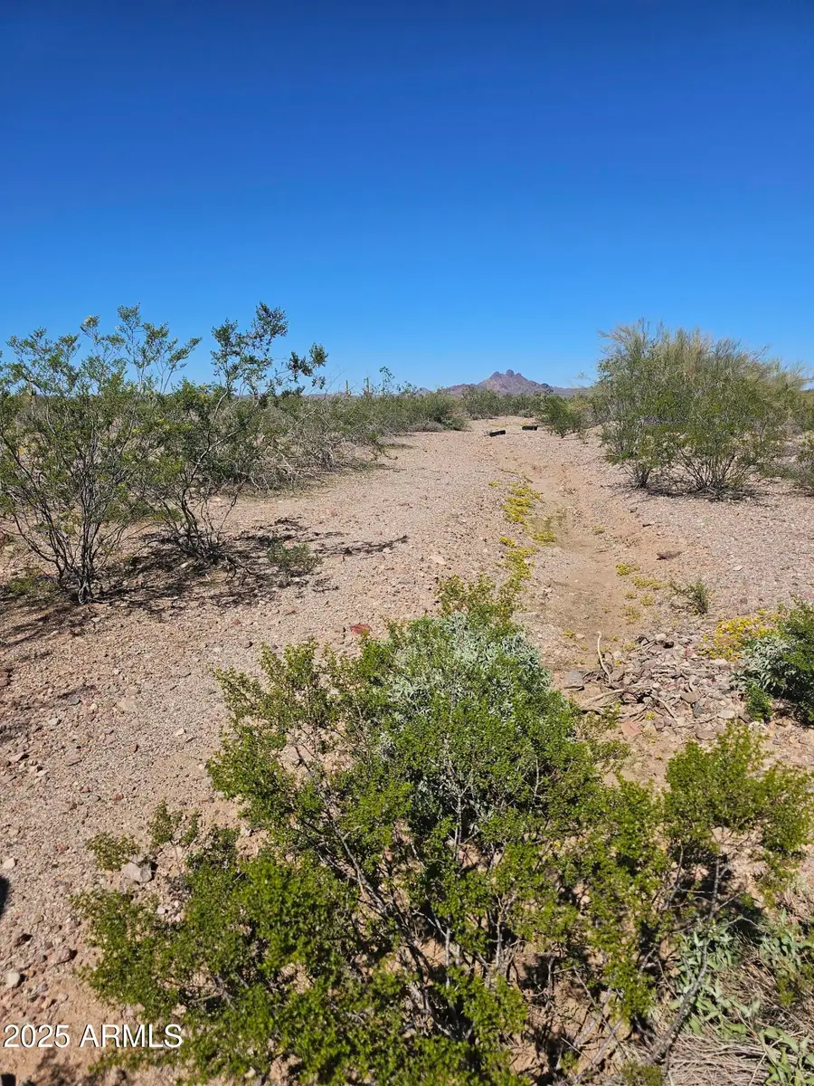 32300 W Painted Wagon Trail #50, Wittmann, AZ 85361 - Image #2