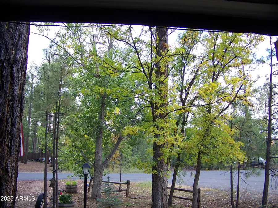 1167 E White Tail --, Pinetop Lakeside, AZ 85935 - Image #3