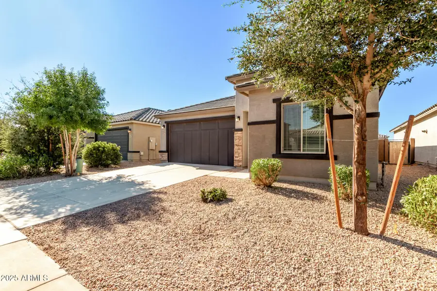 43699 W Buckhorn Trail, Maricopa, AZ 85138 - #2