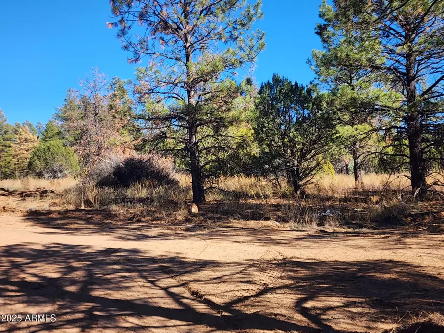 TBD Cedar Bark Trail Parcel #4 -- #4, Heber Overgaard, AZ 85933 - Image #3