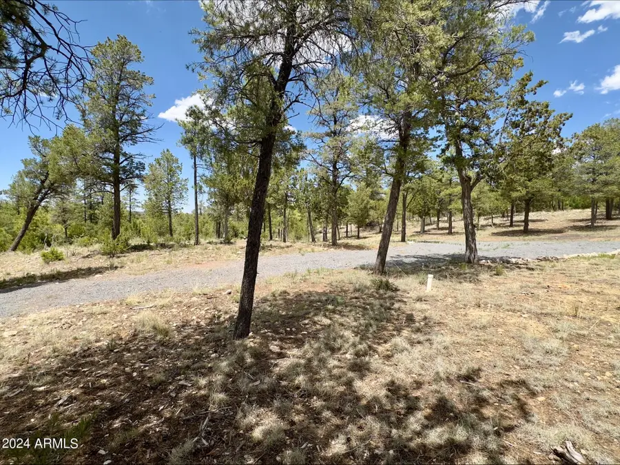 3337 Sawmill Ridge Loop #98, Heber Overgaard, AZ 85928 - Image #3