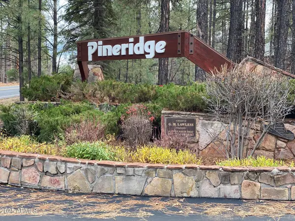 2189 Creekside Court #19, Pinetop, AZ 85935
