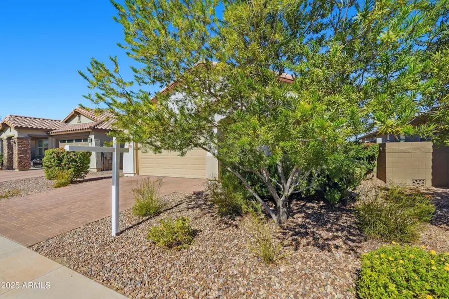 2836 W Havasu Drive, San Tan Valley, AZ 85144 - Image #3