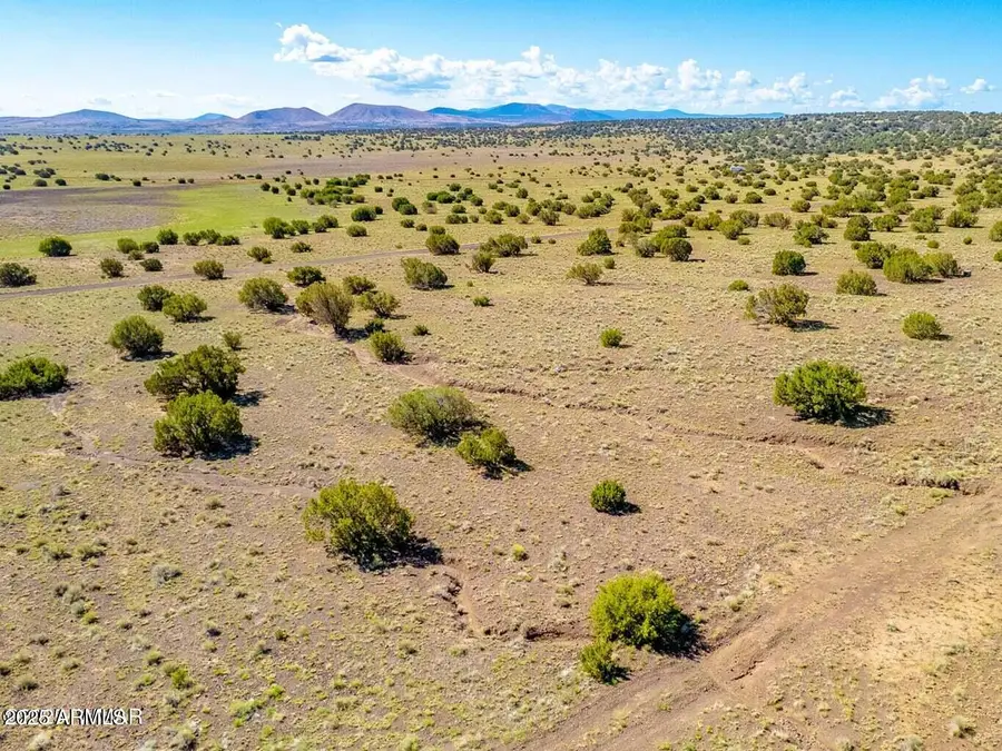 TBD Co Rd 5106 Lot #2 1.1 Acres --, Concho, AZ 85924 - Image #3