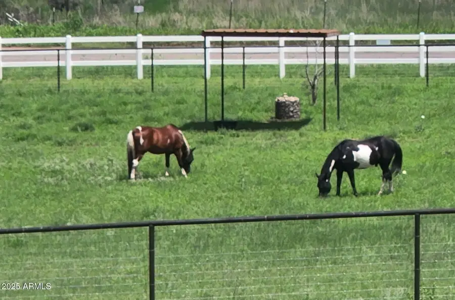 4 Mustang Trail, Sonoita, AZ 85637 - #2