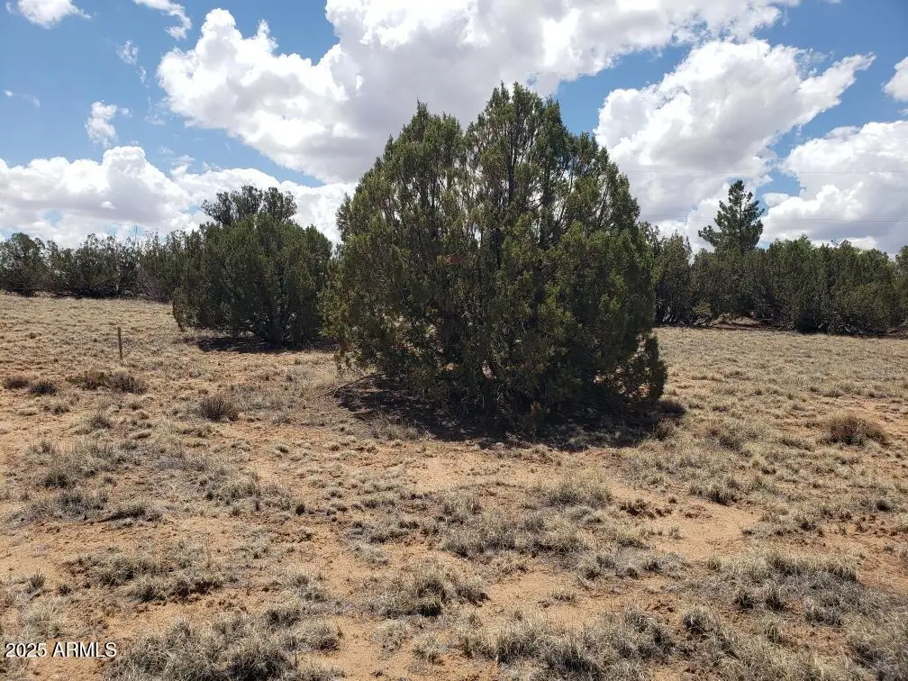 3933 Hidden Ranch Road #56, Snowflake, AZ 85937 - Image #1