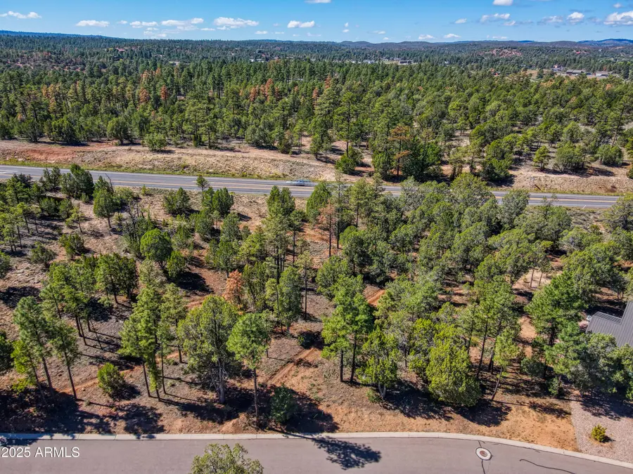 4870 W Eagle Mountain Drive #14, Show Low, AZ 85901 - Image #2