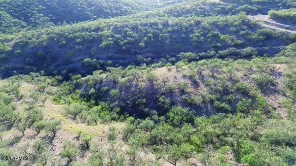 1190 Calle Chaparral -- #54, Rio Rico, AZ 85648