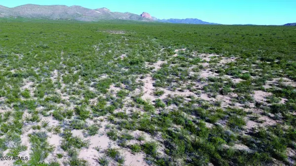 4.79 Acres La Deffensa Road #167, Douglas, AZ 85607