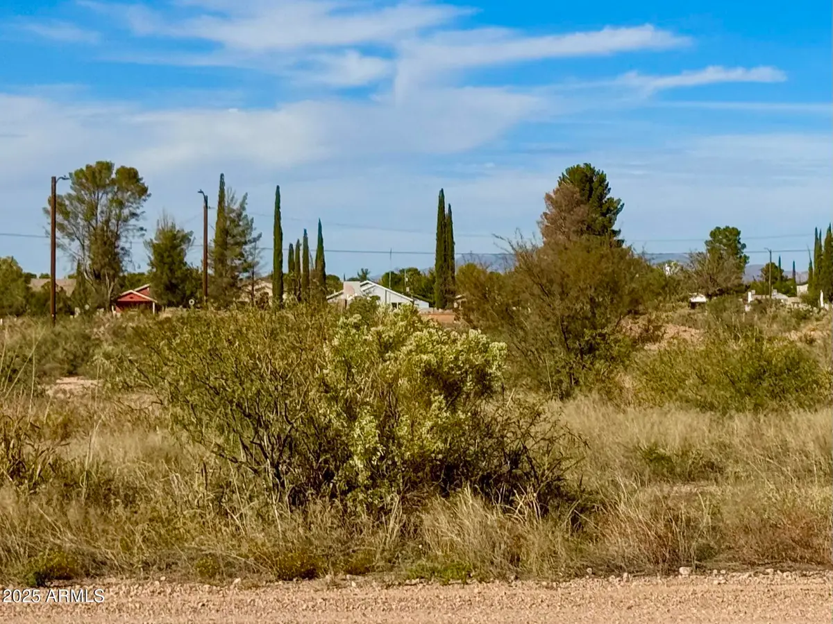 TBD International Ave 4.24 Acres --, Douglas, AZ 85607 - Image #1