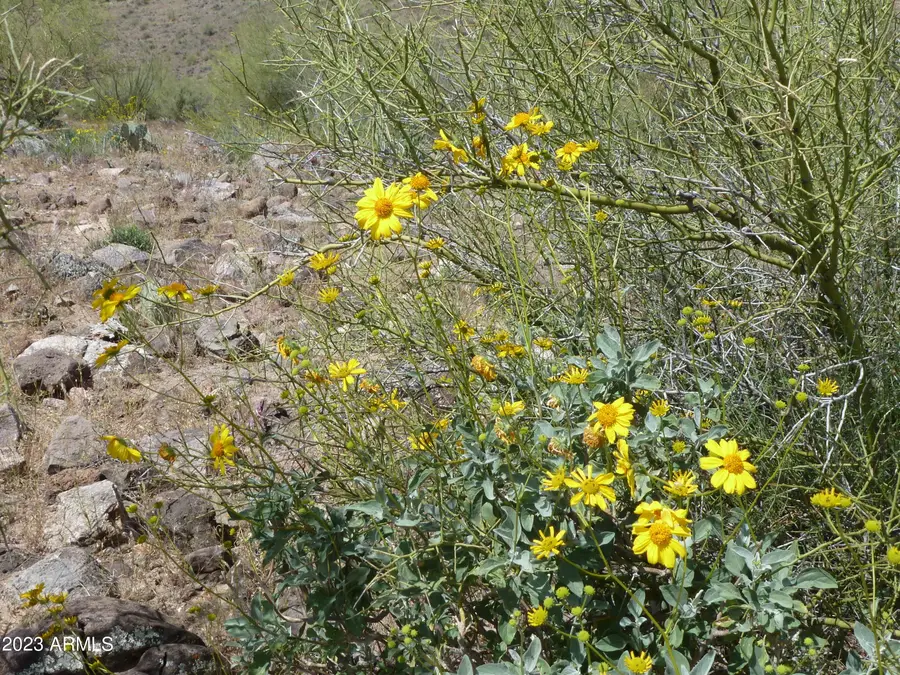 0XXXX N Columbia Mine (lots A & B) Trail #75, Morristown, AZ 85342 - Image #3