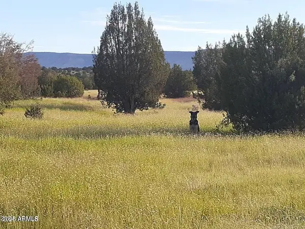 32018 W Calle Ines Parkway, Seligman, AZ 86337