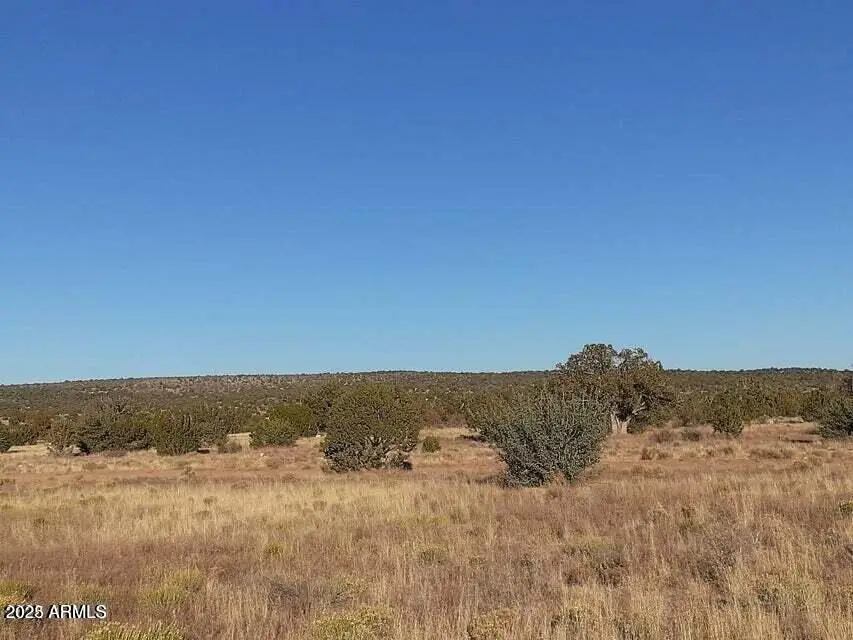 602 Denny 5 Road, Seligman, AZ 86337 - Image #3