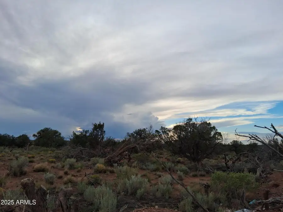 201 County Rd N5380 --, Concho, AZ 85924 - Image #3