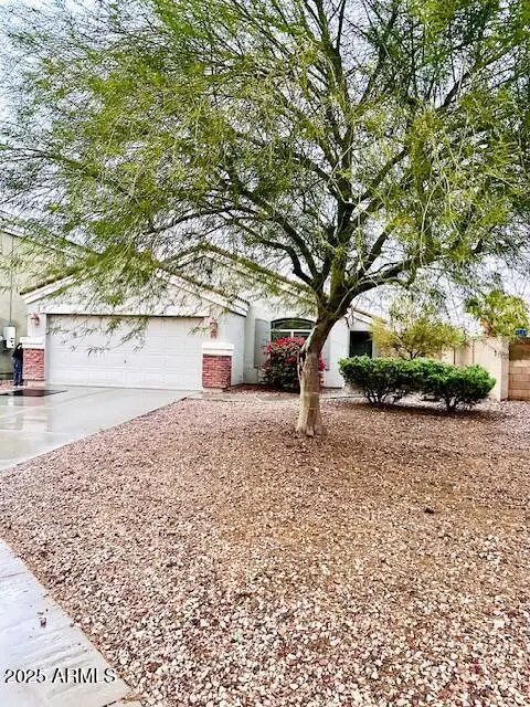 23792 W Pecan Court, Buckeye, AZ 85326 - #1