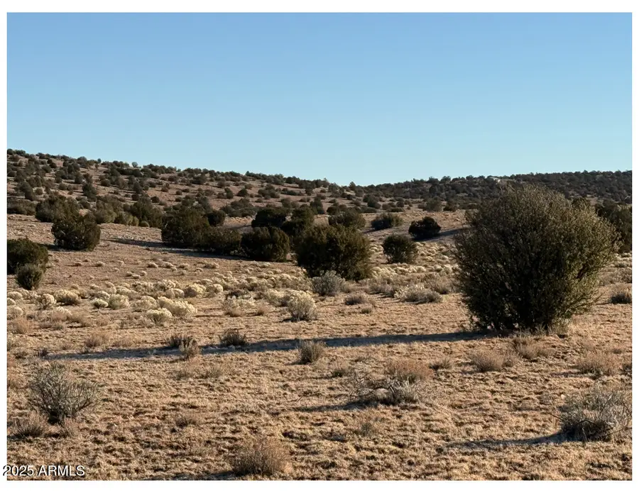 10381 High Butte Drive, Valle, AZ 86046 - Image #2