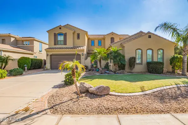 1341 E Macaw Court, Gilbert, AZ 85297