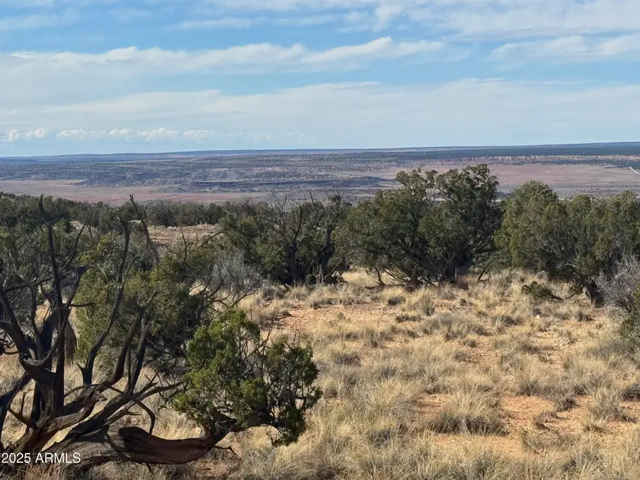 Lot 62 Sierra Highlands Ranch -- #62, Saint Johns, AZ 85936 - Image #2