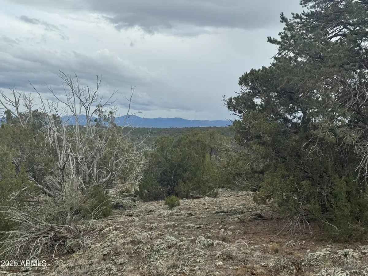 24 Acr 8051 -- #2355, Concho, AZ 85924 - Image #1