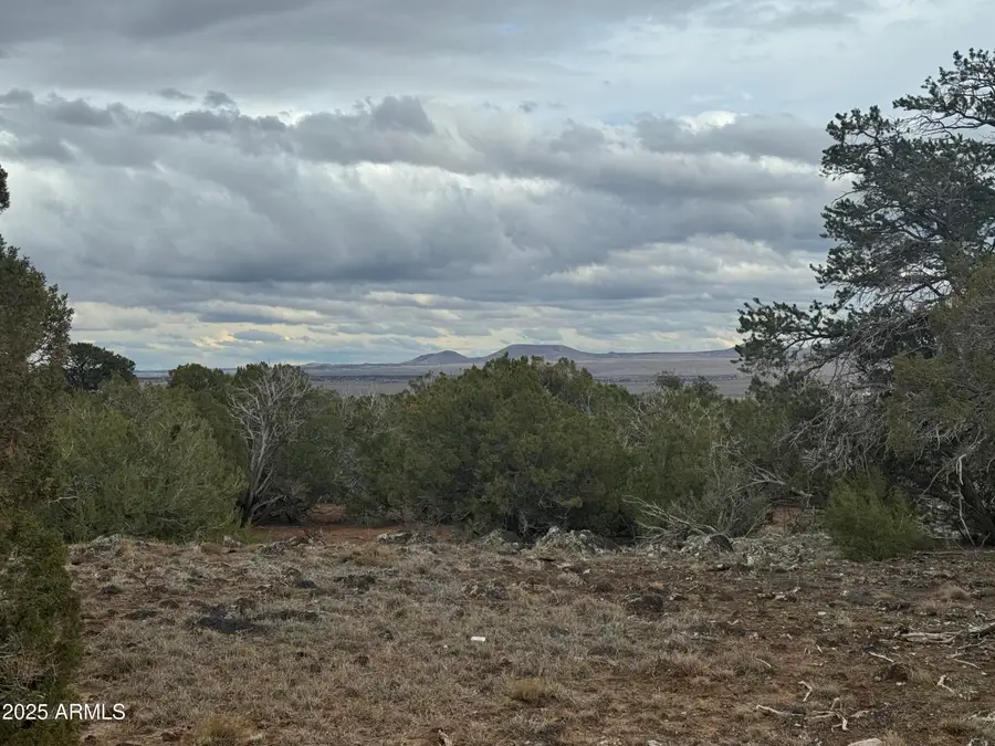 24 Acr 8051 -- #2355, Concho, AZ 85924 - Image #3