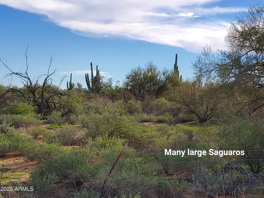 0 S 168th Street, Tonto National Forest, AZ 85263 - Image #3