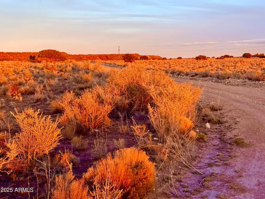 TBD Co Rd N6422 36.22 Acres --, Saint Johns, AZ 85936 - Image #3