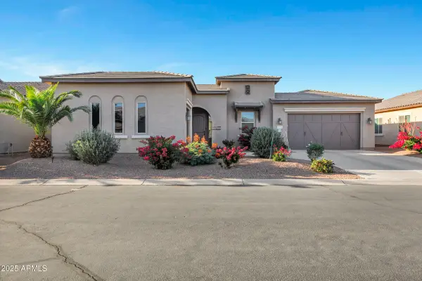 41584 W Springtime Road, Maricopa, AZ 85138