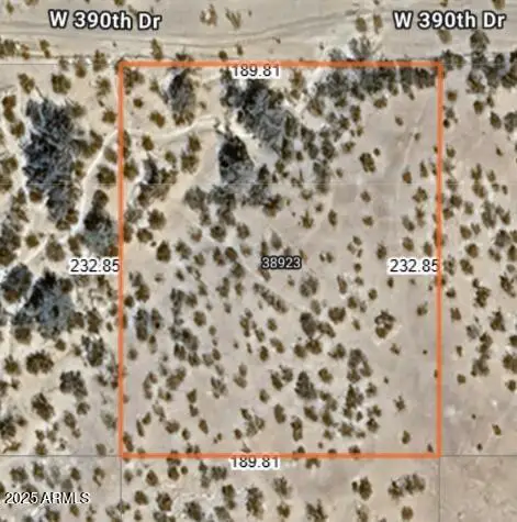 38923 W Flower Street #1208, Tonopah, AZ 85354 - #1