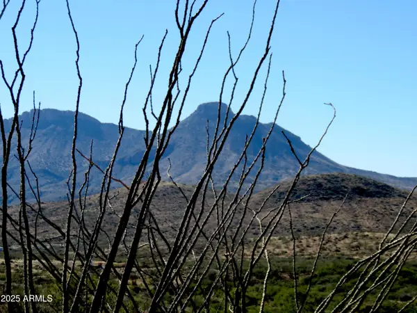 TBD E Walnut Springs Road #47, Douglas, AZ 85607