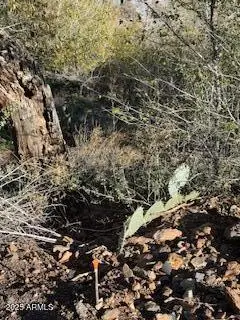 000 Diaz Street #12,13,24,25, Jerome, AZ 86331 - Image #2