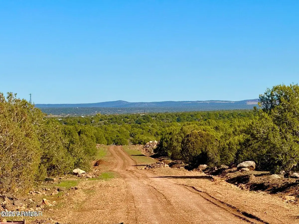 TBD Mustang Ln Lots F & H 5.5 Acre --, White Mountain Lake, AZ 85901 - Image #1