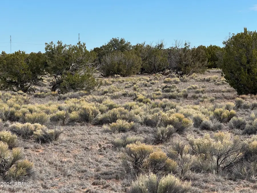 Lot 338 Sierra Highlands Ranch -- #338, Saint Johns, AZ 85936 - Image #3