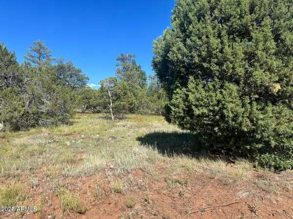 5020 Bison Trail #34 & 35, Lakeside, AZ 85929