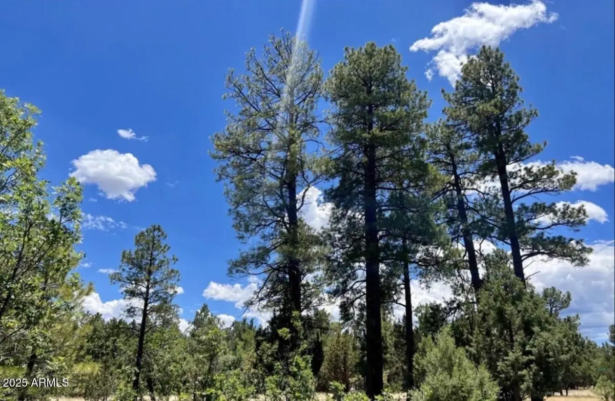 4453 Navajo Drive #358, Blue Ridge, AZ 86024 - Image #1