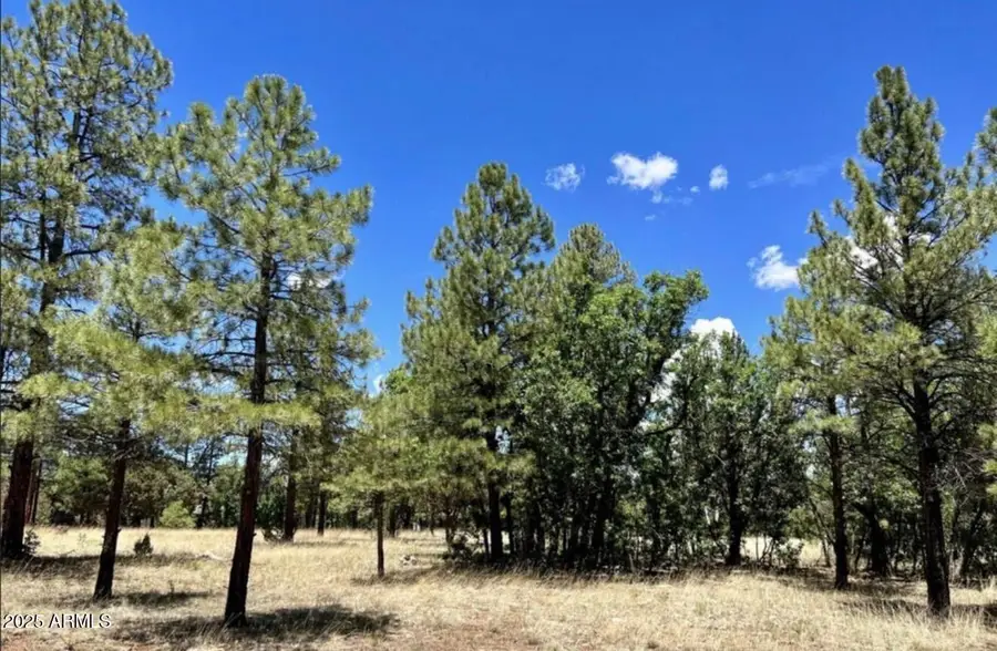 4453 Navajo Drive #358, Blue Ridge, AZ 86024 - Image #2