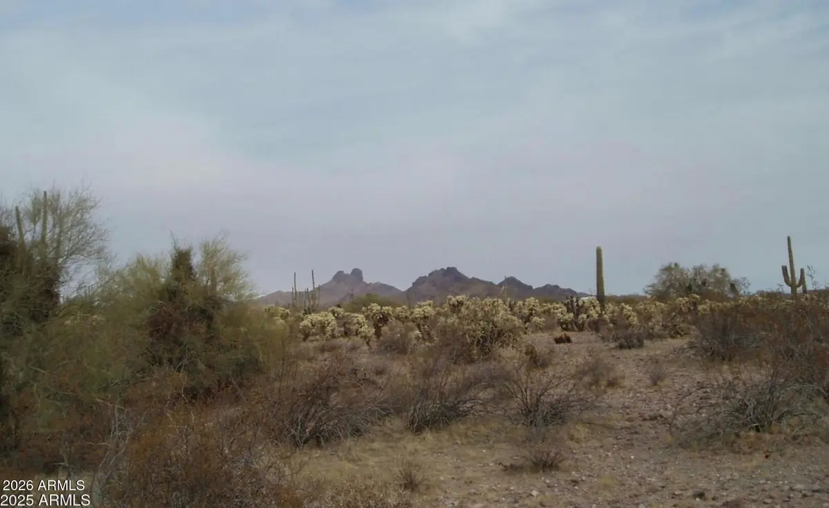 307000 N 315th Avenue #162 3, Wittmann, AZ 85361 - Image #1