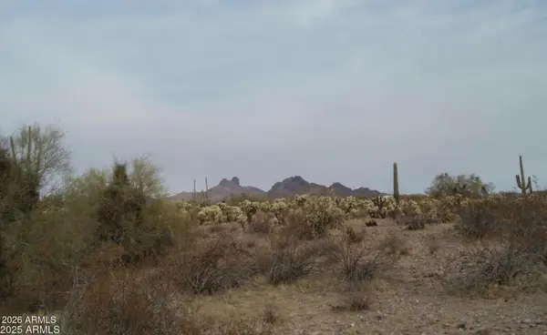 307000 N 315th Avenue #162 3, Wittmann, AZ 85361