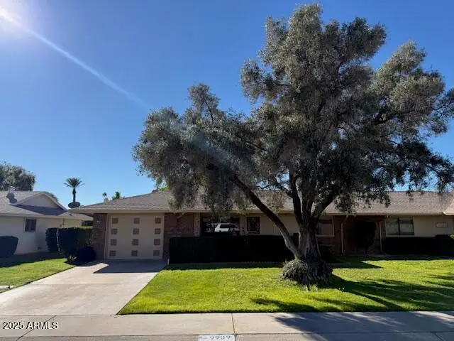 9909 W Sandstone Drive, Sun City, AZ 85351 - Image #1