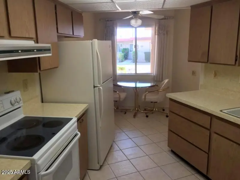 10891 W Buccaneer Drive, Sun City, AZ 85351 - Image #3