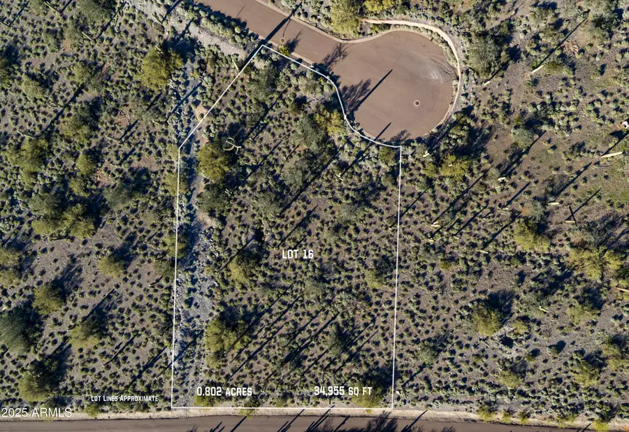 5949 E Hidden Valley Drive #9, Cave Creek, AZ 85331 - Image #3