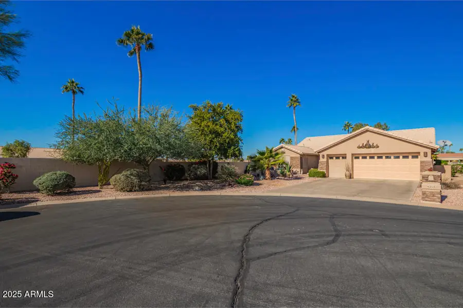 9202 E Cedar Waxwing Drive, Sun Lakes, AZ 85248 - Image #3