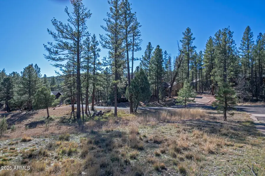 144 Hunter Creek Drive #144, Payson, AZ 85541 - Image #3