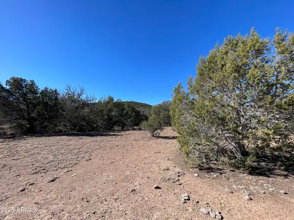 XXXX Cattle Drive #160, Williams, AZ 86046