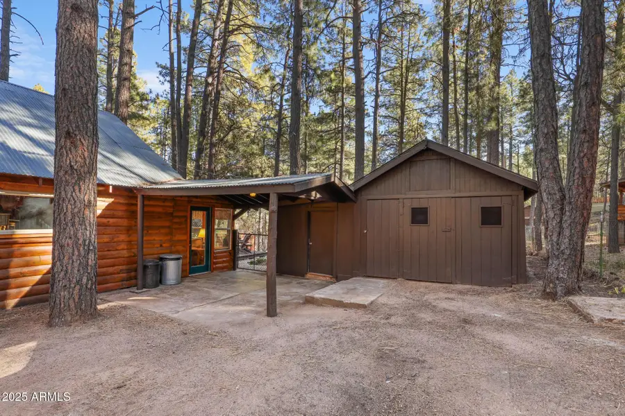 199 W Mockingbird Lane, Payson, AZ 85541 - #3