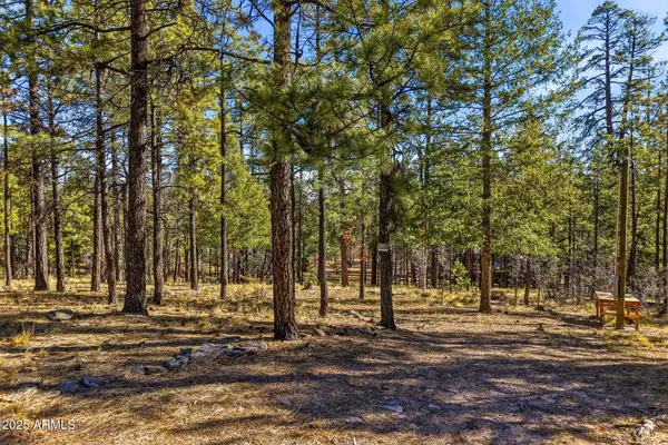 20 Co Rd 2067 -- #114, Alpine, AZ 85920