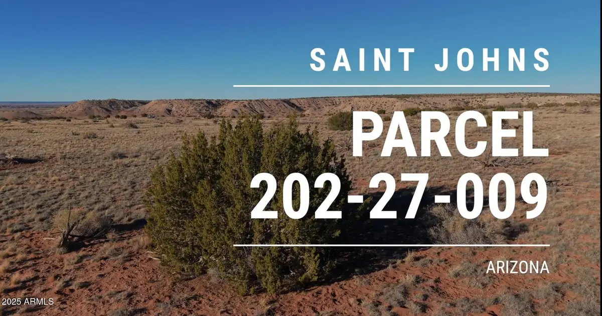 150 150 County Road N6100 --, Saint Johns, AZ 85936 - Image #1