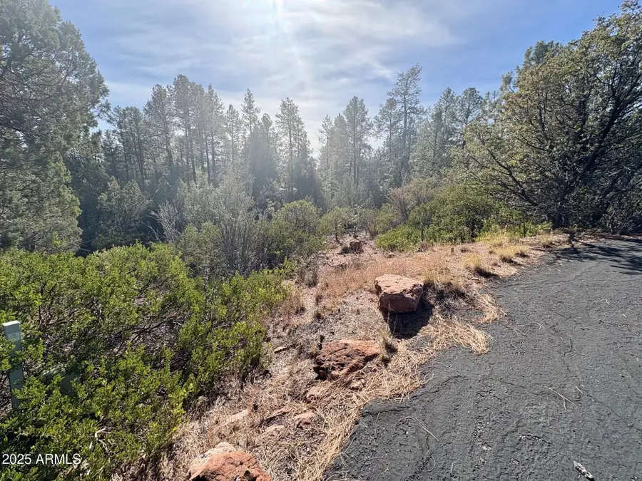 19 N Elk Rub Lane #19, Pine, AZ 85544 - Image #3