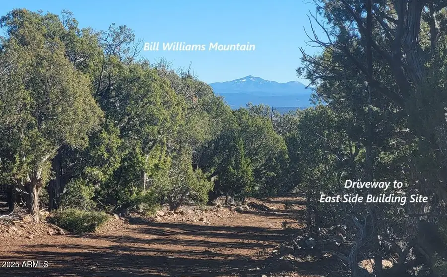 12120 9 Shooter -- #31, Williams, AZ 86046 - Image #2