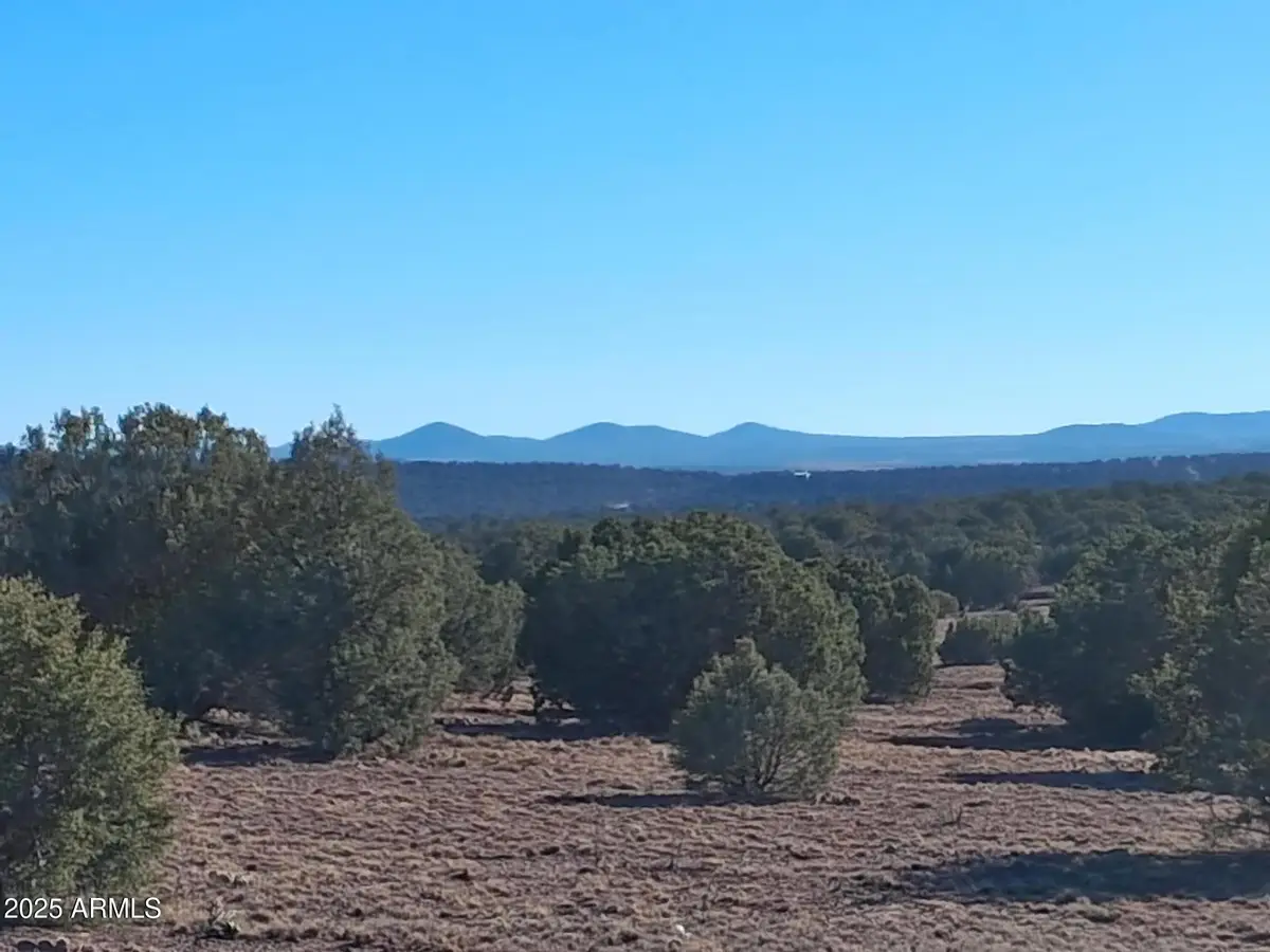 19 County Rd N8285 --, Concho, AZ 85924 - Image #1